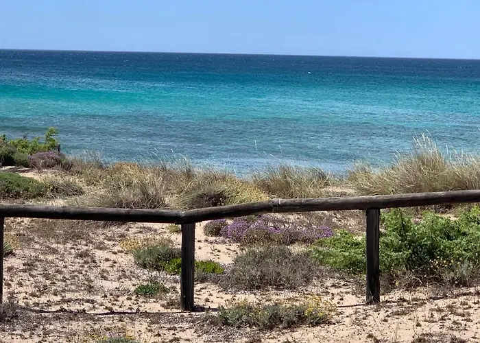Suite Ad Maiora